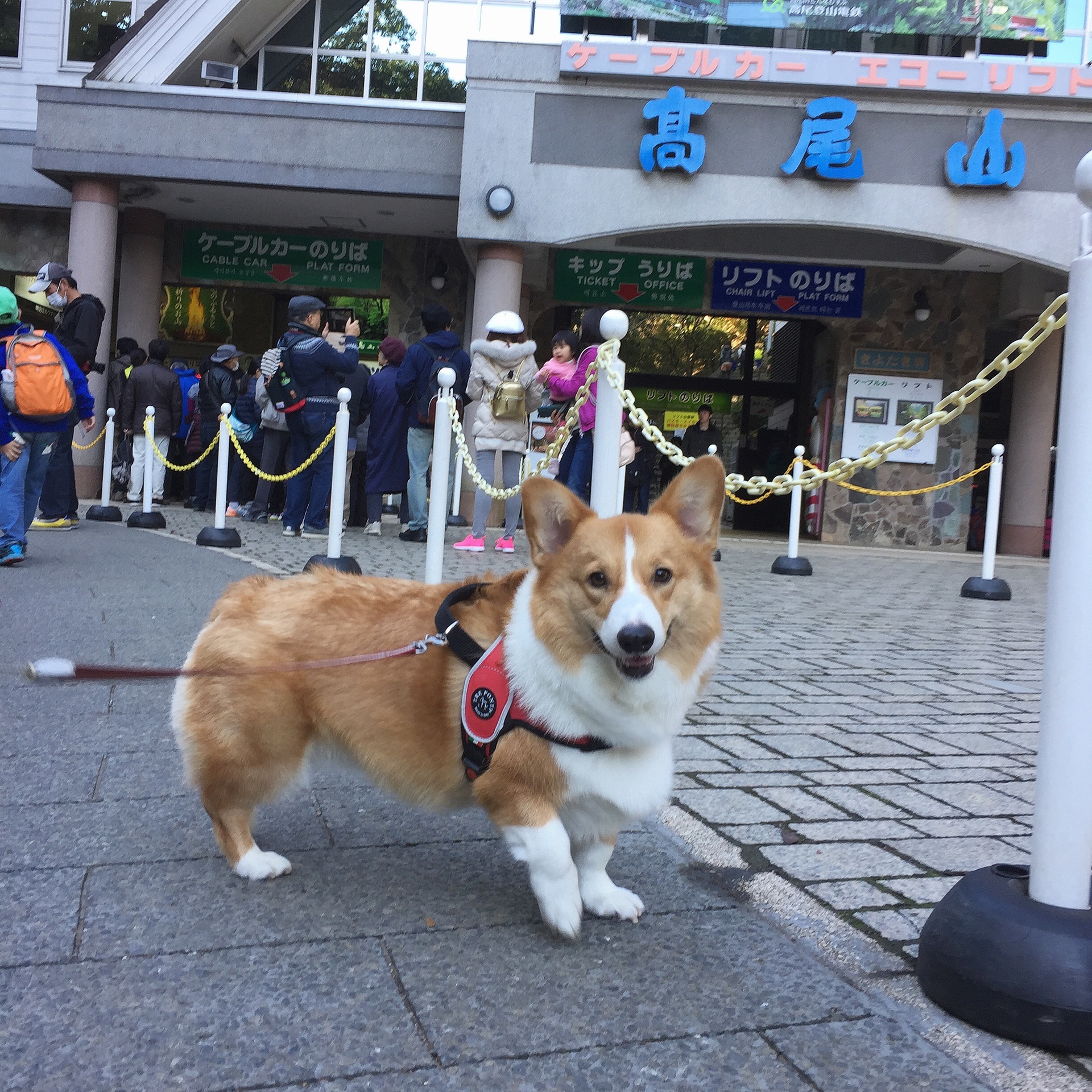 高尾山 稲荷山 一丁平 4号路 リフト 599m Yamatomiko